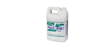 Buckeye Nap-Bac Carpet Shampoo 4/1gl