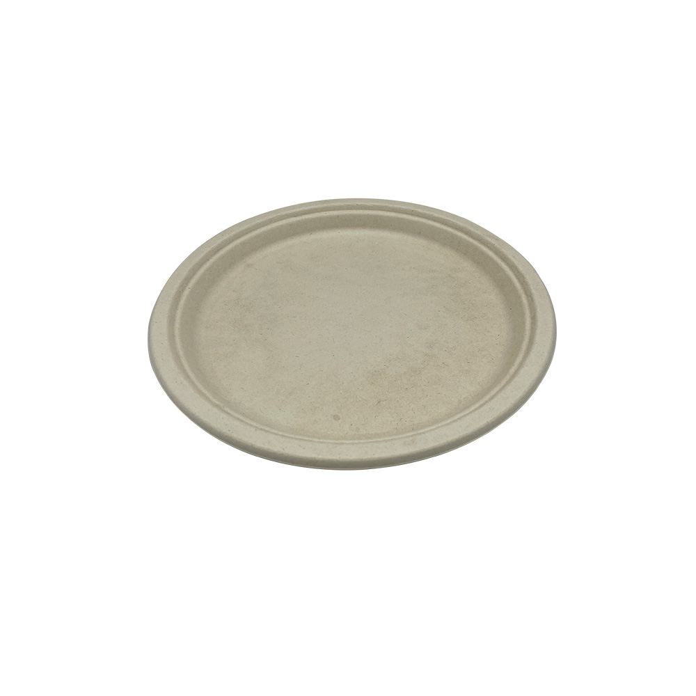 Empress Earth Heavy Weight  Plate 10&quot; Natural White 